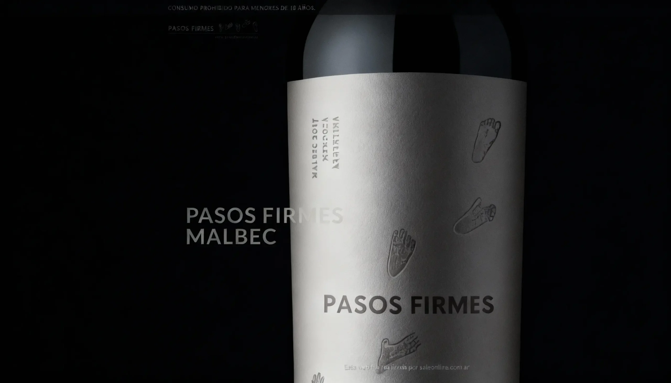 Pasos Firmes Portada